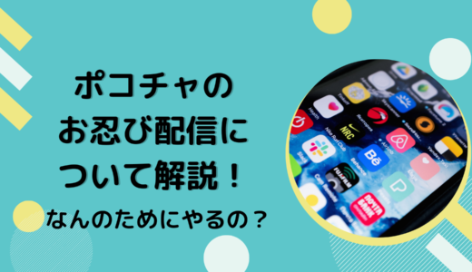 ポコチャのお忍び配信について解説！なんのためにやるの？